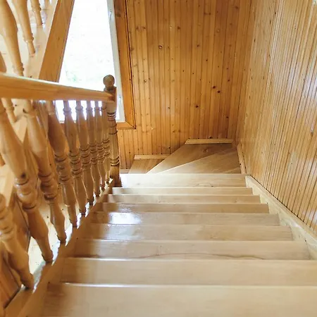 Karpatskiy Maetok Alloggio in famiglia Verkhovyna