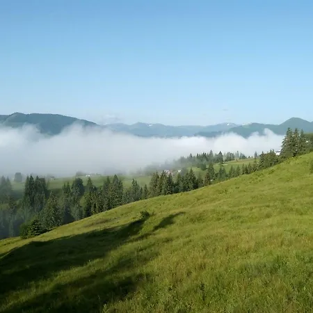 Karpatskiy Maetok Alloggio in famiglia